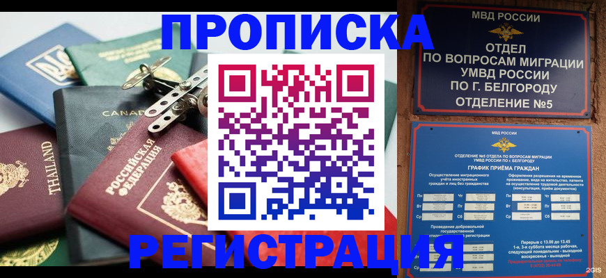 временная регистрация недорого в Гатчине